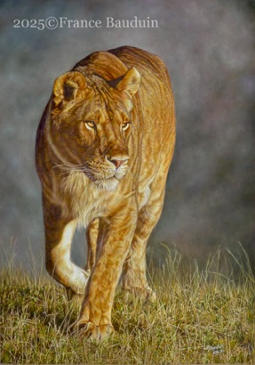 Lioness Lake -  162.5 hours
Brown Pastelmat board
27" x 19"
Keith Shackleton award TWASI 2026
